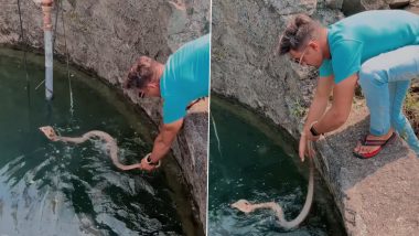 Man Rescues King Cobra With Bare Hands: तरुणाने विहिरीत पडलेल्या किंग कोब्राला पकडले, पुढे जे झाले ते पाहून बसेल धक्का